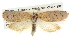  ( - BIOUG08828-A02)  @12 [ ] CreativeCommons - Attribution (2013) CBG Photography Group Centre for Biodiversity Genomics