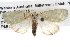 ( - BIOUG08828-B04)  @14 [ ] CreativeCommons - Attribution (2013) CBG Photography Group Centre for Biodiversity Genomics