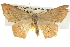  ( - BIOUG08828-B09)  @15 [ ] CreativeCommons - Attribution (2013) CBG Photography Group Centre for Biodiversity Genomics