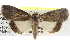  ( - BIOUG08828-G07)  @15 [ ] CreativeCommons - Attribution (2013) CBG Photography Group Centre for Biodiversity Genomics