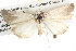  ( - BIOUG08996-C09)  @13 [ ] CreativeCommons - Attribution (2013) CBG Photography Group Centre for Biodiversity Genomics