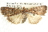  ( - BIOUG08996-E06)  @14 [ ] CreativeCommons - Attribution (2013) CBG Photography Group Centre for Biodiversity Genomics
