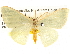  ( - BIOUG08996-F10)  @14 [ ] CreativeCommons - Attribution (2013) CBG Photography Group Centre for Biodiversity Genomics