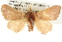  ( - BIOUG08996-G07)  @14 [ ] CreativeCommons - Attribution (2013) CBG Photography Group Centre for Biodiversity Genomics