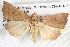  ( - BIOUG08996-H05)  @14 [ ] CreativeCommons - Attribution (2013) CBG Photography Group Centre for Biodiversity Genomics