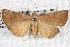  ( - BIOUG08996-H08)  @14 [ ] CreativeCommons - Attribution (2013) CBG Photography Group Centre for Biodiversity Genomics