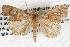  ( - BIOUG08996-H10)  @14 [ ] CreativeCommons - Attribution (2013) CBG Photography Group Centre for Biodiversity Genomics