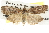  ( - BIOUG09010-C03)  @14 [ ] CreativeCommons - Attribution (2013) CBG Photography Group Centre for Biodiversity Genomics