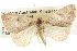  ( - BIOUG09010-D07)  @13 [ ] CreativeCommons - Attribution (2013) CBG Photography Group Centre for Biodiversity Genomics