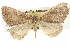  ( - BIOUG09010-D08)  @13 [ ] CreativeCommons - Attribution (2013) CBG Photography Group Centre for Biodiversity Genomics