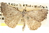 ( - BIOUG09010-H02)  @13 [ ] CreativeCommons - Attribution (2013) CBG Photography Group Centre for Biodiversity Genomics