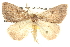  ( - BIOUG09010-H10)  @13 [ ] CreativeCommons - Attribution (2013) CBG Photography Group Centre for Biodiversity Genomics