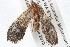  ( - BIOUG09012-B01)  @12 [ ] CreativeCommons - Attribution (2013) CBG Photography Group Centre for Biodiversity Genomics