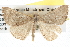  ( - BIOUG09012-C06)  @14 [ ] CreativeCommons - Attribution (2013) CBG Photography Group Centre for Biodiversity Genomics