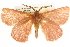  ( - BIOUG09012-H09)  @15 [ ] CreativeCommons - Attribution (2013) CBG Photography Group Centre for Biodiversity Genomics