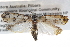  ( - BIOUG11096-F09)  @13 [ ] CreativeCommons - Attribution (2014) CBG Photography Group Centre for Biodiversity Genomics