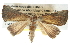  ( - BIOUG11097-B12)  @13 [ ] CreativeCommons - Attribution (2014) CBG Photography Group Centre for Biodiversity Genomics