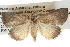  ( - BIOUG11097-C04)  @14 [ ] CreativeCommons - Attribution (2014) CBG Photography Group Centre for Biodiversity Genomics