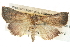  ( - BIOUG11097-C10)  @13 [ ] CreativeCommons - Attribution (2014) CBG Photography Group Centre for Biodiversity Genomics