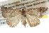  ( - BIOUG11097-D02)  @14 [ ] CreativeCommons - Attribution (2014) CBG Photography Group Centre for Biodiversity Genomics