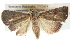  ( - BIOUG11097-E04)  @14 [ ] CreativeCommons - Attribution (2014) CBG Photography Group Centre for Biodiversity Genomics
