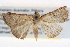  ( - BIOUG11097-G05)  @13 [ ] CreativeCommons - Attribution (2014) CBG Photography Group Centre for Biodiversity Genomics
