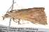  ( - BIOUG11097-G08)  @13 [ ] CreativeCommons - Attribution (2014) CBG Photography Group Centre for Biodiversity Genomics