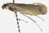  ( - BIOUG11098-D11)  @13 [ ] CreativeCommons - Attribution (2014) CBG Photography Group Centre for Biodiversity Genomics