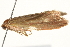  ( - BIOUG11098-E04)  @12 [ ] CreativeCommons - Attribution (2014) CBG Photography Group Centre for Biodiversity Genomics