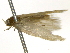  ( - BIOUG11098-E12)  @13 [ ] CreativeCommons - Attribution (2014) CBG Photography Group Centre for Biodiversity Genomics