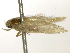  ( - BIOUG11098-G10)  @13 [ ] CreativeCommons - Attribution (2014) CBG Photography Group Centre for Biodiversity Genomics
