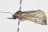  ( - BIOUG11098-H03)  @13 [ ] CreativeCommons - Attribution (2014) CBG Photography Group Centre for Biodiversity Genomics