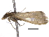  ( - BIOUG11099-D02)  @13 [ ] CreativeCommons - Attribution (2014) CBG Photography Group Centre for Biodiversity Genomics