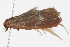  ( - BIOUG11099-G04)  @12 [ ] CreativeCommons - Attribution (2014) CBG Photography Group Centre for Biodiversity Genomics