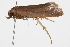  ( - BIOUG11099-H08)  @12 [ ] CreativeCommons - Attribution (2014) CBG Photography Group Centre for Biodiversity Genomics