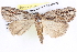  ( - BIOUG11880-E02)  @12 [ ] CreativeCommons - Attribution (2014) CBG Photography Group Centre for Biodiversity Genomics