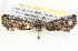  ( - BIOUG11880-F04)  @12 [ ] CreativeCommons - Attribution (2014) CBG Photography Group Centre for Biodiversity Genomics