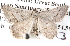  ( - BIOUG11881-A01)  @13 [ ] CreativeCommons - Attribution (2014) CBG Photography Group Centre for Biodiversity Genomics