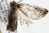  ( - BIOUG12056-A09)  @12 [ ] CreativeCommons - Attribution (2014) CBG Photography Group Centre for Biodiversity Genomics