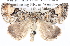  ( - BIOUG11881-B11)  @15 [ ] CreativeCommons - Attribution (2014) CBG Photography Group Centre for Biodiversity Genomics