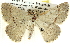  ( - BIOUG11881-C01)  @14 [ ] CreativeCommons - Attribution (2014) CBG Photography Group Centre for Biodiversity Genomics