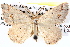  ( - BIOUG11881-C09)  @15 [ ] CreativeCommons - Attribution (2014) CBG Photography Group Centre for Biodiversity Genomics