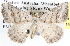  ( - BIOUG11881-D09)  @14 [ ] CreativeCommons - Attribution (2014) CBG Photography Group Centre for Biodiversity Genomics