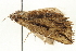  ( - BIOUG12056-D09)  @12 [ ] CreativeCommons - Attribution (2014) CBG Photography Group Centre for Biodiversity Genomics