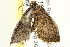  ( - BIOUG12056-E10)  @11 [ ] CreativeCommons - Attribution (2014) CBG Photography Group Centre for Biodiversity Genomics