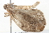  ( - BIOUG11881-G10)  @12 [ ] CreativeCommons - Attribution (2014) CBG Photography Group Centre for Biodiversity Genomics