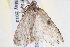 ( - BIOUG11881-H07)  @12 [ ] CreativeCommons - Attribution (2014) CBG Photography Group Centre for Biodiversity Genomics