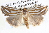  ( - BIOUG12057-D08)  @14 [ ] CreativeCommons - Attribution (2014) CBG Photography Group Centre for Biodiversity Genomics