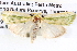  ( - BIOUG12057-E06)  @14 [ ] CreativeCommons - Attribution (2014) CBG Photography Group Centre for Biodiversity Genomics