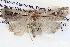  ( - BIOUG12057-G04)  @13 [ ] CreativeCommons - Attribution (2014) CBG Photography Group Centre for Biodiversity Genomics